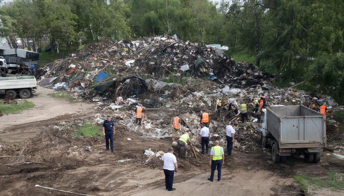 В Ростове вмешательство прокуратуры помогло ликвидировать свалку в лесополосе - фото 1