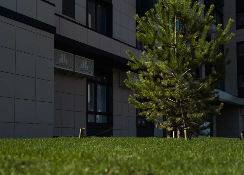 Дом Литер 2.1 в ЖК Флора - фото 29