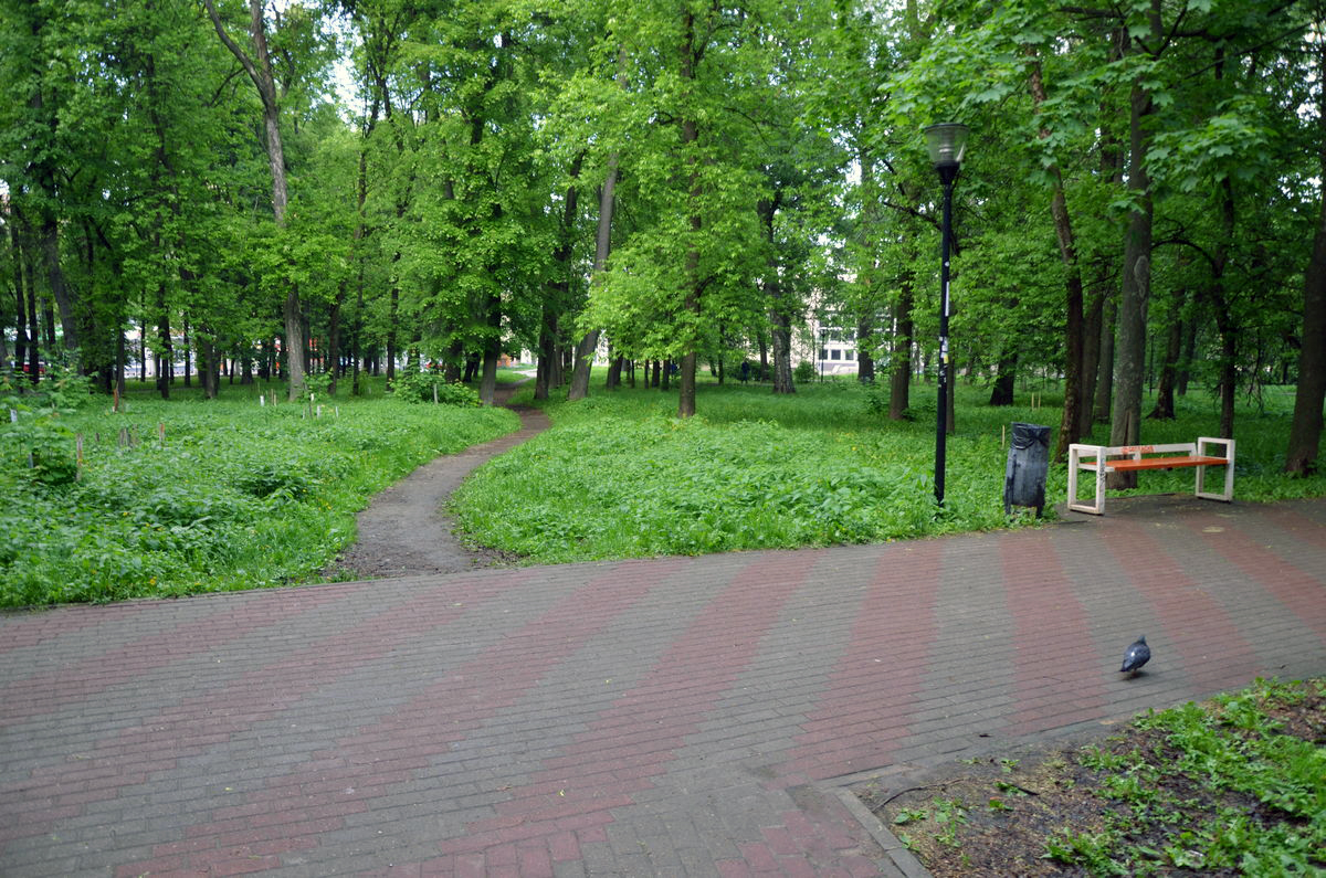 Нижегородцев ждут на обсуждение будущего парка имени Кулибина - фото 1