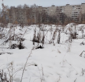 Ход строительства дома 10 в ЖК Расцветай на Зорге -