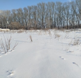 Ход строительства дома 10 в ЖК Расцветай на Зорге -