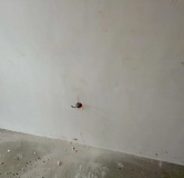 Ход строительства дома В-2 в ЖК Резиденция морей -