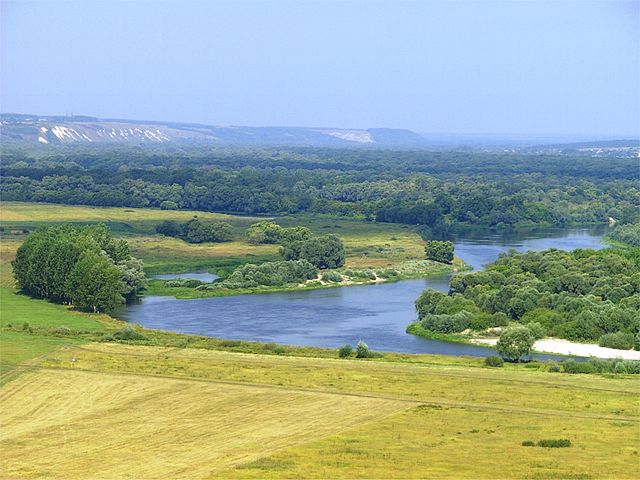 Росприродназдор выявил загрязнение реки Дон сточными водами в Воронеже - фото 1