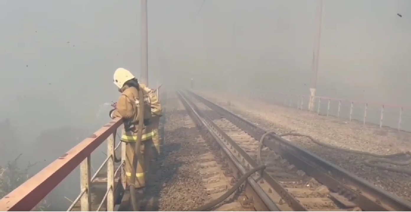 Плановое выжигание сухой растительности будут проводить на левом берегу Дона в Ростове - Фото 1