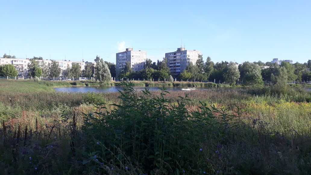 Ледовый дворец могут построить в Автозавдоском районе Нижнего Новгорода - фото 1