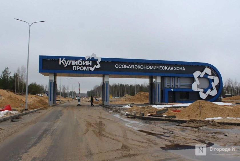 Компания из Саудовской Аравии хочет открыть завод в ОЭЗ «Кулибин» в Дзержинске - фото 1