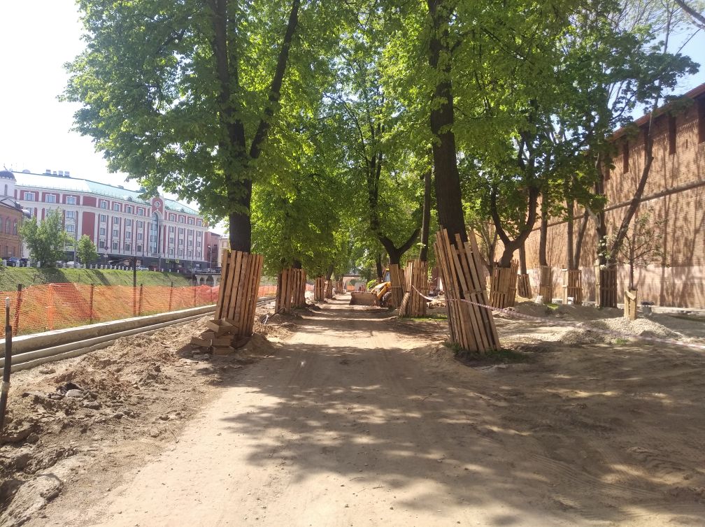 65 деревьев посадят в Нижегородском кремле - фото 1