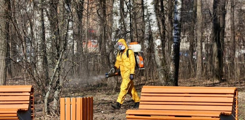 Обработка парков и скверов от клещей стартует в Нижнем Новгороде 15 апреля