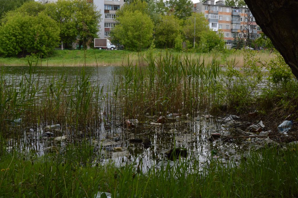 Водоемы и леса Воронежа очистят от мусора во Всемирный день чистоты