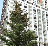 Ход строительства дома 1, секции А,Б,В в ЖК Видный -