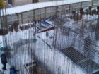 ЖК С видом на Небо! - ход строительства, фото 123, Январь 2018